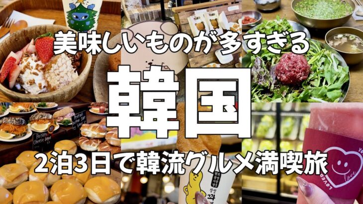 【韓国Vlog】アラサー女が行く！2泊3日の韓国旅行！グルメもショッピングも観光も満喫旅！ソウル観光・旅動画・食べ歩き・korea・soul・koreatravel